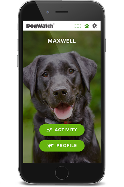 DogWatch of Toledo and Northwest Ohio, Fort Wayne, Indiana | SmartFence WebApp Image